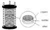 voltaic element - battery