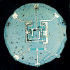 first monolitic IC